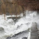 DAB1004-20111216.jpg