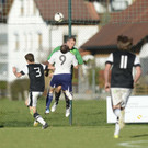 krstic 2_JPG-1351501460