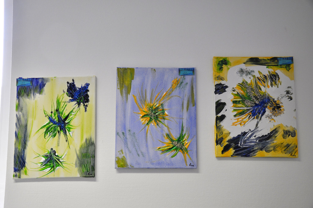 DSC_0917_JPG-1351502379