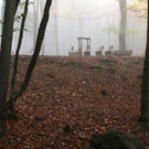 KOE_Wildpark im Nebel 11_jpg-1351506561