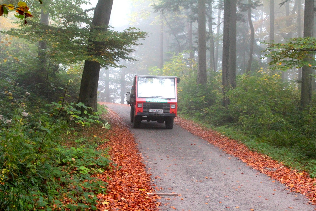 KOE_Wildpark im Nebel 12_jpg-1351506571
