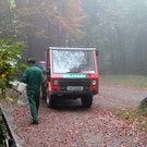KOE_Wildpark im Nebel 14_jpg-1351506588