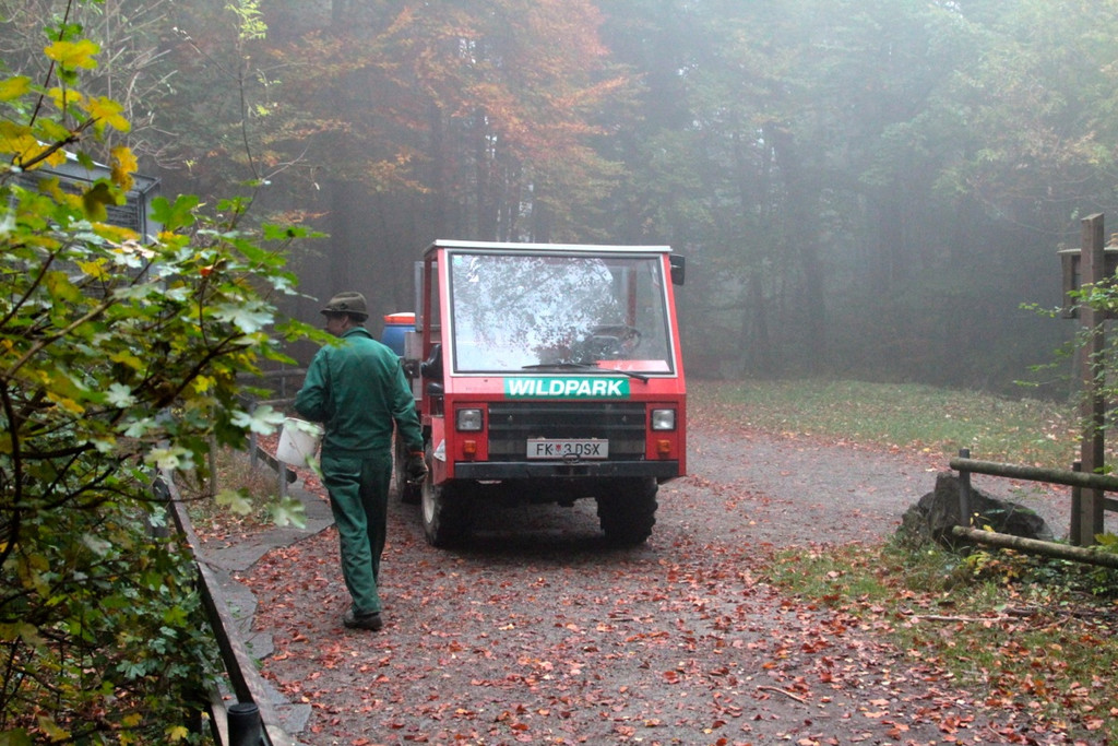 KOE_Wildpark im Nebel 14_jpg-1351506588