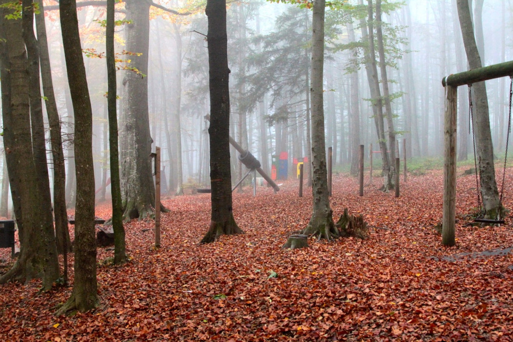 KOE_Wildpark im Nebel 16_jpg-1351506607