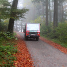 KOE_Wildpark im Nebel 20_jpg-1351506640
