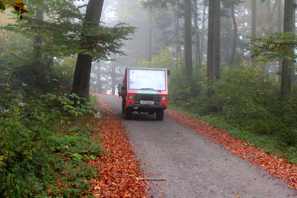 KOE_Wildpark im Nebel 20_jpg-1351506640