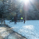 P1020651_JPG-1351510789