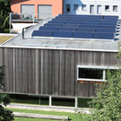 Rosenl__cher 1.JPG