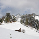 IMG_6969.JPG