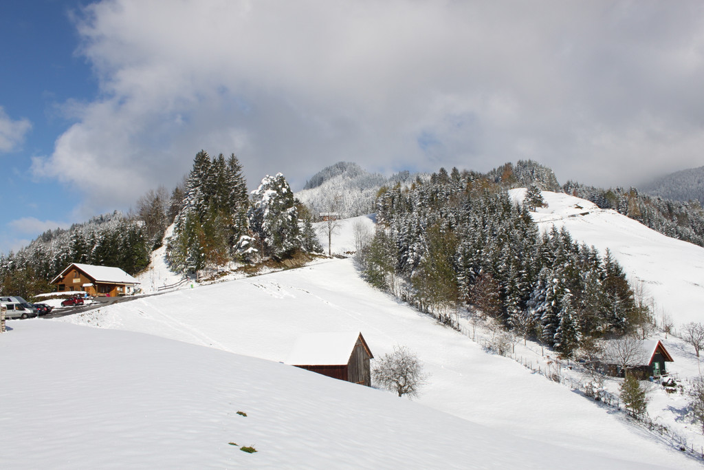 IMG_6969.JPG