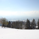 IMG_6978.JPG