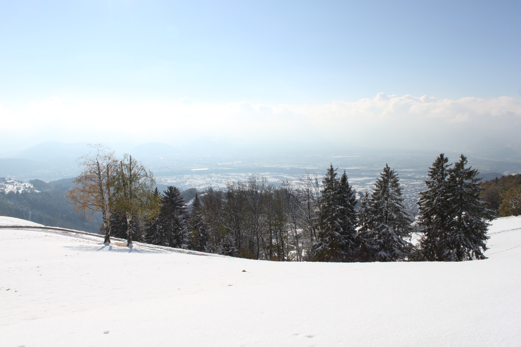 IMG_6978.JPG