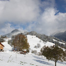 IMG_6983.JPG