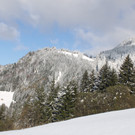 IMG_6987.JPG