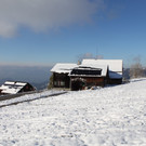 IMG_7014.JPG