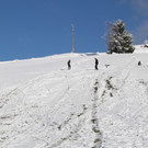 IMG_7015.JPG