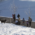 IMG_7016.JPG
