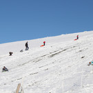 IMG_7031.JPG