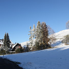 IMG_7033.JPG