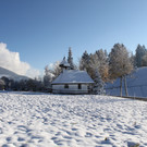 IMG_7027.JPG