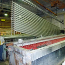 Collini12_jpg-1351612397