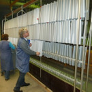 Collini13_jpg-1351612406