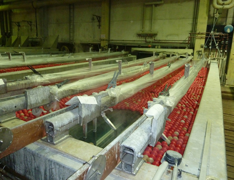 Collini15_jpg-1351612426