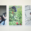 Gwiggen_DSC_7935_jpg-1351624593