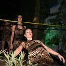 LIMBO beim BUTZVARRUCKT 2010