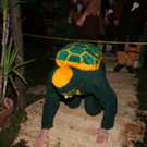 IMG_2490.JPG