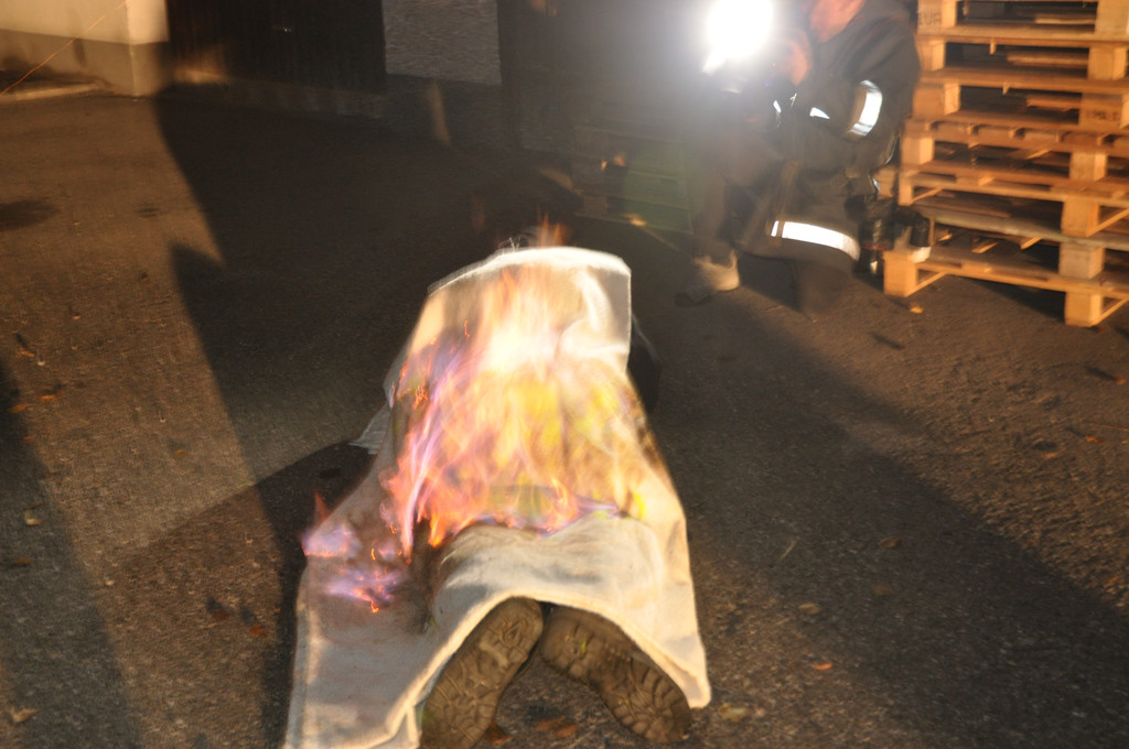 DSC_0107 - Kopie_JPG-1351637997