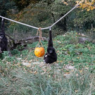 normal_31102012fmt_zoo_halloween_mw_008.JPG