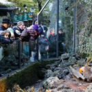 normal_31102012fmt_zoo_halloween_mw_019.JPG