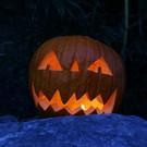 normal_31102012fmt_zoo_halloween_mw_021.JPG