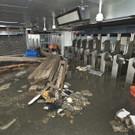 IBD0254-20121031.jpg