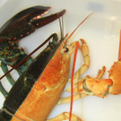 DAB2569-20121031.jpg