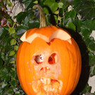 01112012halloweenat5009aktivnews_10.jpg