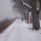 normal_10022010schneewm2aktivnews_12.jpg