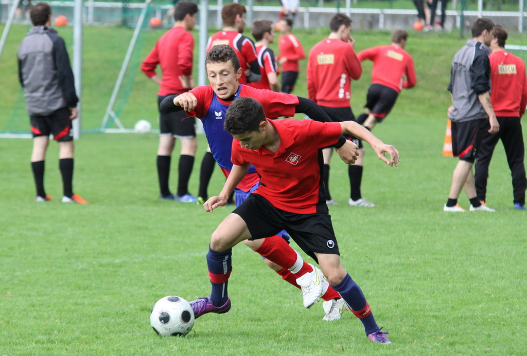 IMG_9296_jpg-1351862351