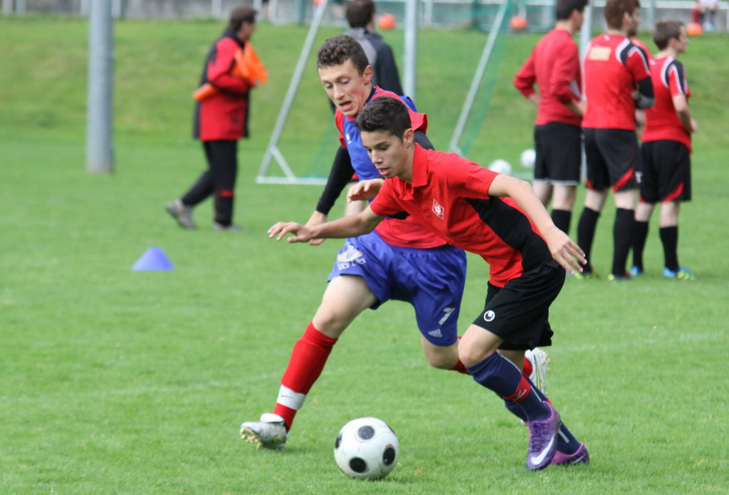 IMG_9298_jpg-1351862360