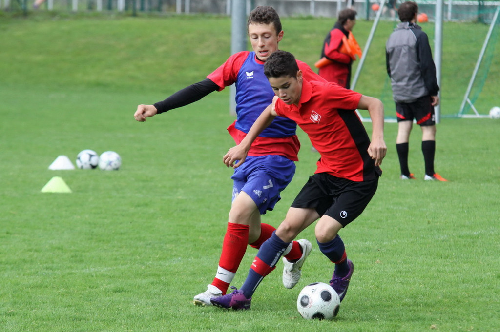 IMG_9300_jpg-1351862368