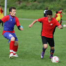 IMG_9371_jpg-1351862436