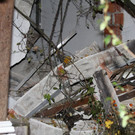 normal_02112012fmt_explosion_fm_23.JPG
