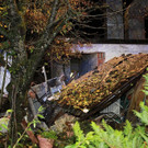 02112012explosionde01001aktivnews_65.jpg
