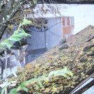 02112012explosionde01001aktivnews_26.jpg