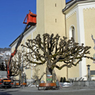 _DSC05170003_1.JPG