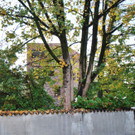 DSC_0044-1.jpg