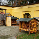 normal_03112012fmt_adventzauber_ta_010.JPG