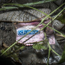 20121102_MIK_WW010.jpg