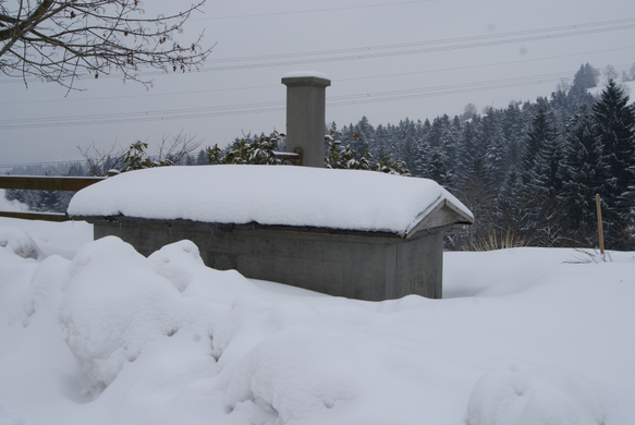 Buch - Dorfbrunnen.JPG